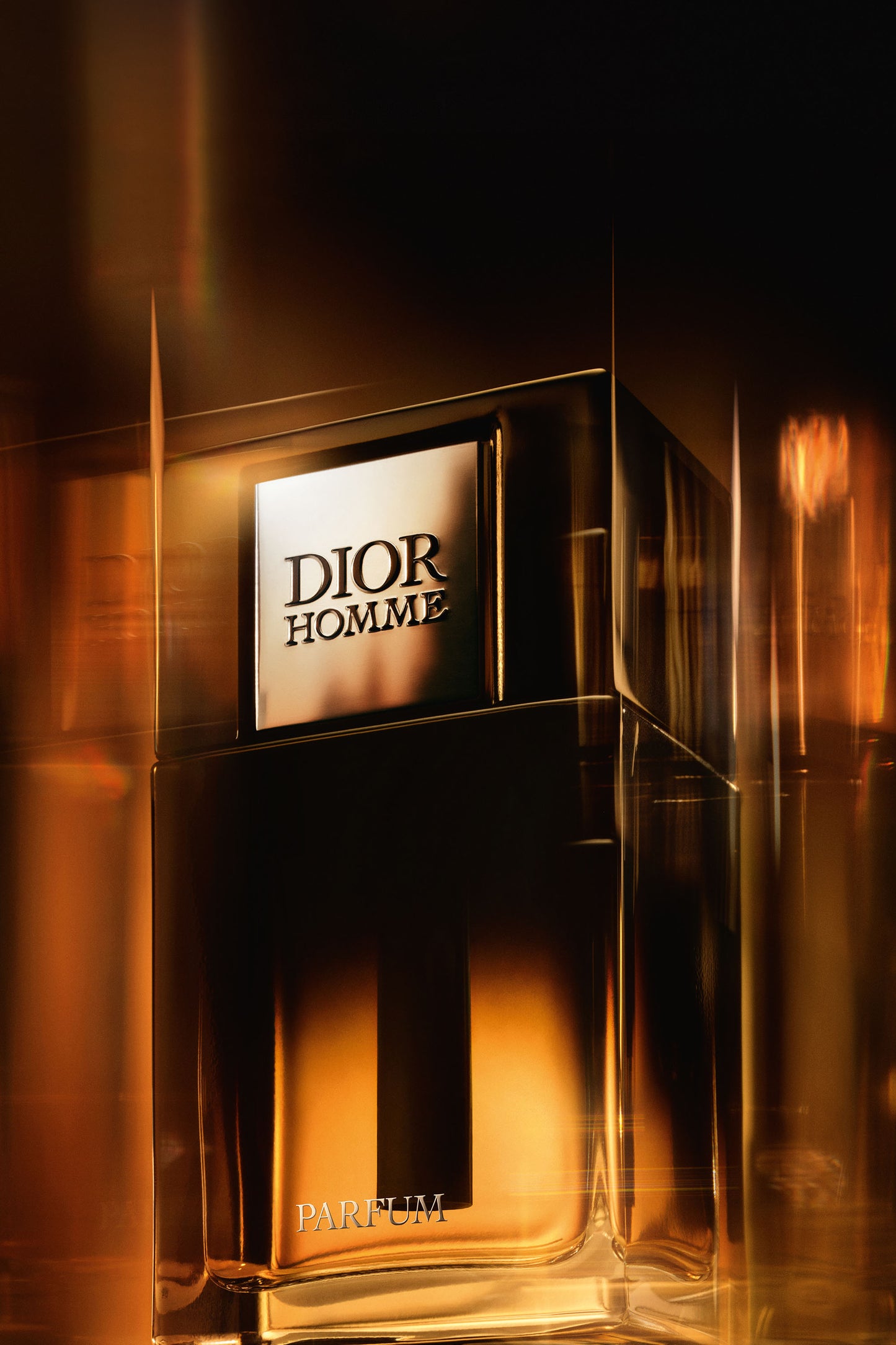 Homme Parfum DIOR