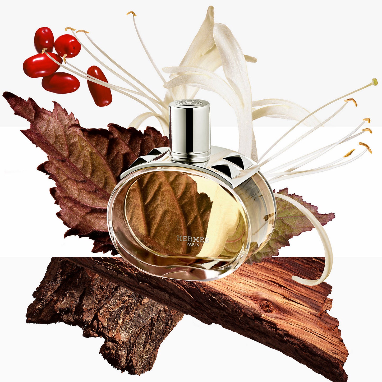 HERMES BARENIA EDP