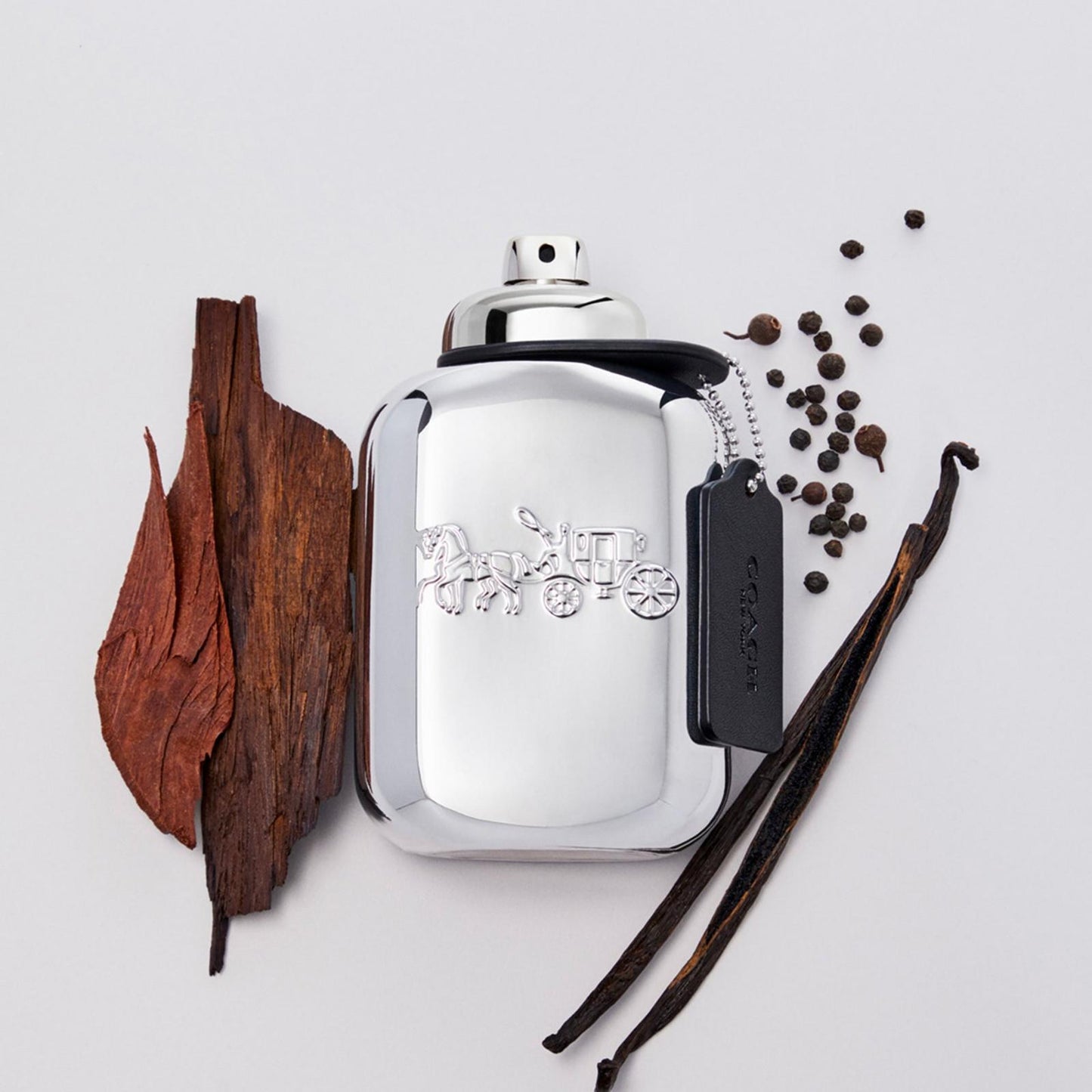 COACH PLATINUM EAU DE PARFUM