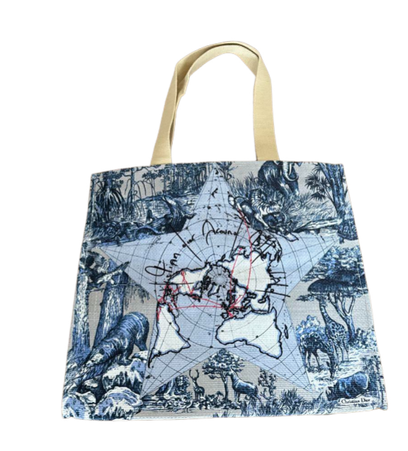 BOLSO DIOR