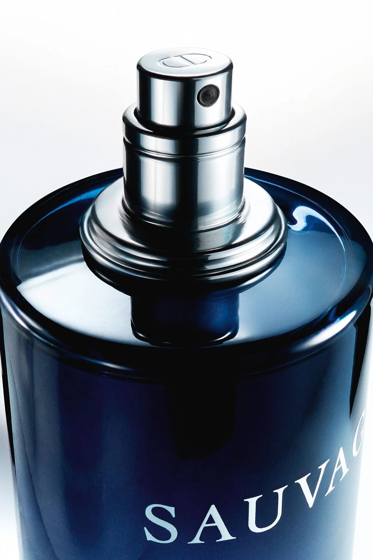 SAUVAGE PARFUM